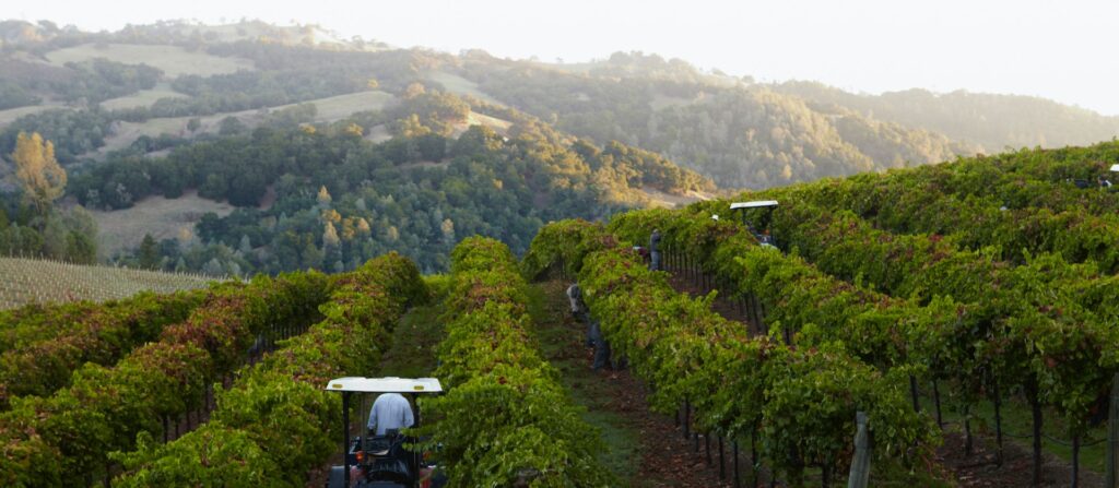 Rodney Strong will be a featured winery at Park City Wine Festival.